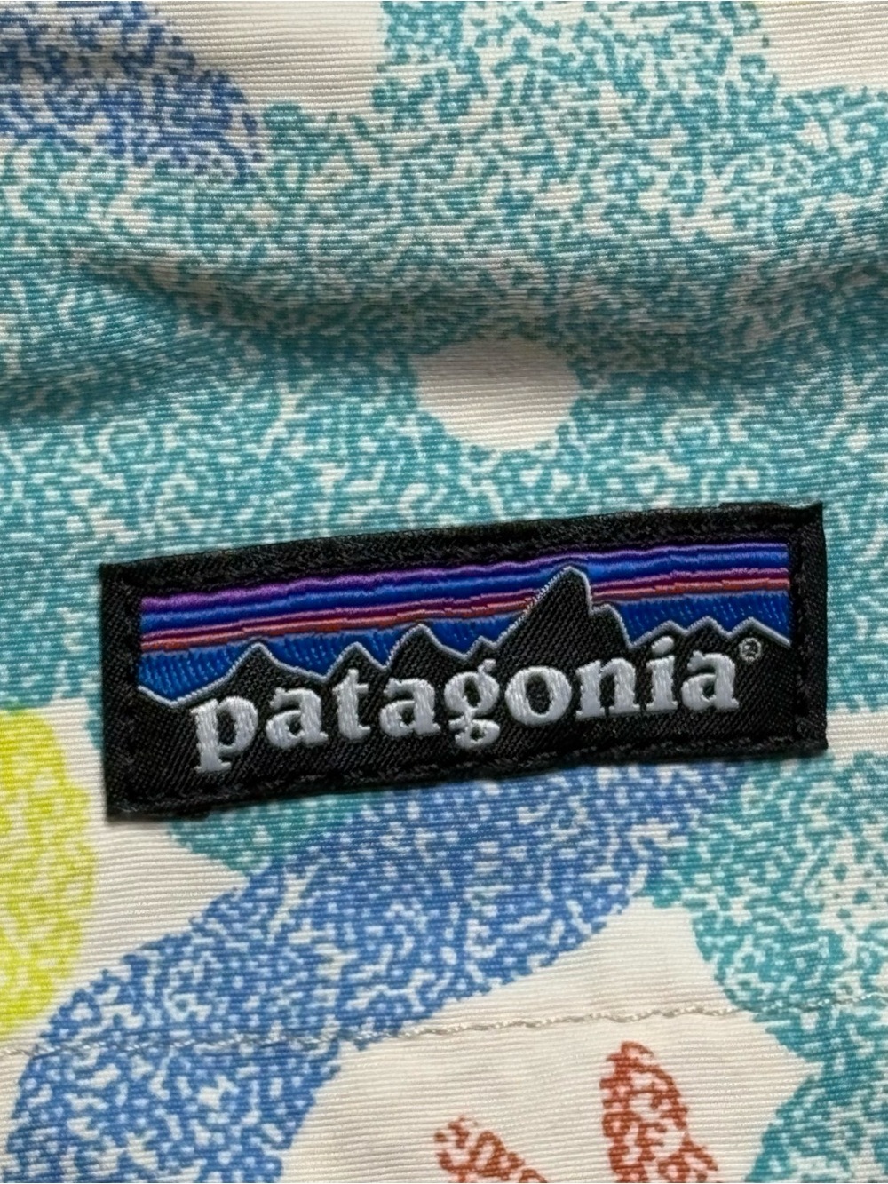 Patagonia Barely Baggies - Picture 4 of 4
